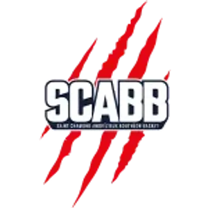 Saint-Chamond Andrézieux Bouthéon Basket